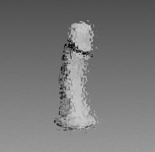3D scanned realistic model of a penis Free 3D Model