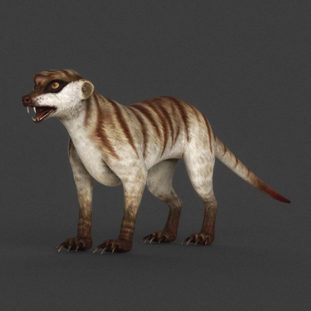 Game Ready Meerkat 3D Model