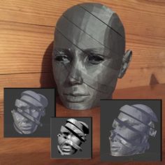Sliced ​​woman’s head 3D Print Model
