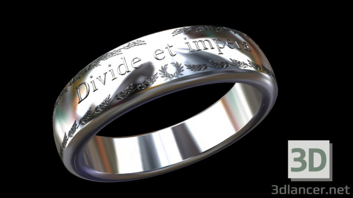 3D-Model 
Ring Divide et impera