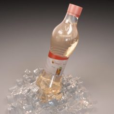 Bottle with ice 3D Model