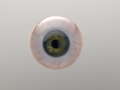 Eye ball 3D Model