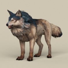 Game Ready Wild Wolf 3D Model