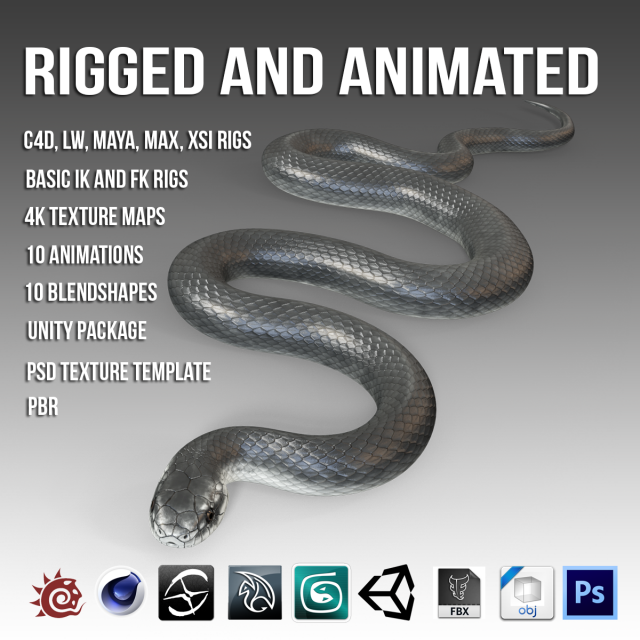 Animated Black Mamba 3D Model