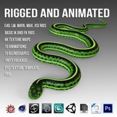 Green Snake 3D Model