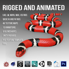 Scarlet King Snake 3D Model