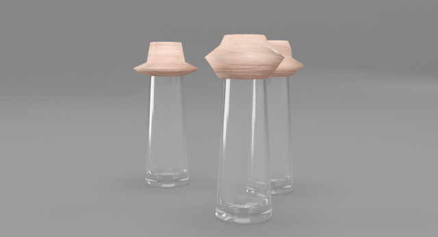 Salt and Pepper Glass Shaker 3D Model