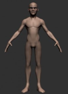 Base Cartoon Male Female 3D Model