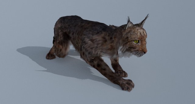 Lynx 3D Model