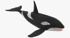 Whale Killer 3D Model