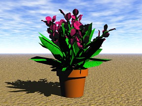 Flower 08 Free 3D Model