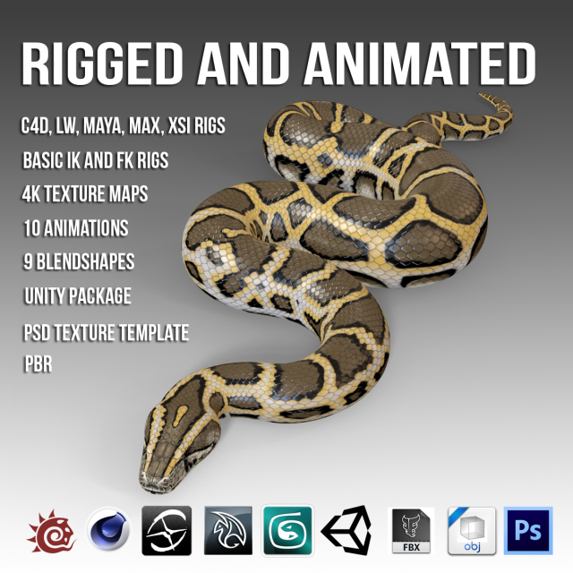 Animated Burmese Python 3D Model
