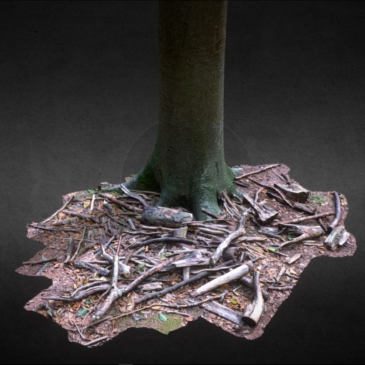 Tree with a pile of branch						 Free 3D Model