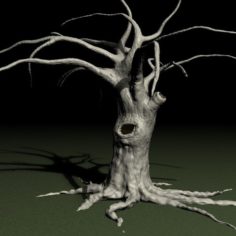Old tree 3D Print Model