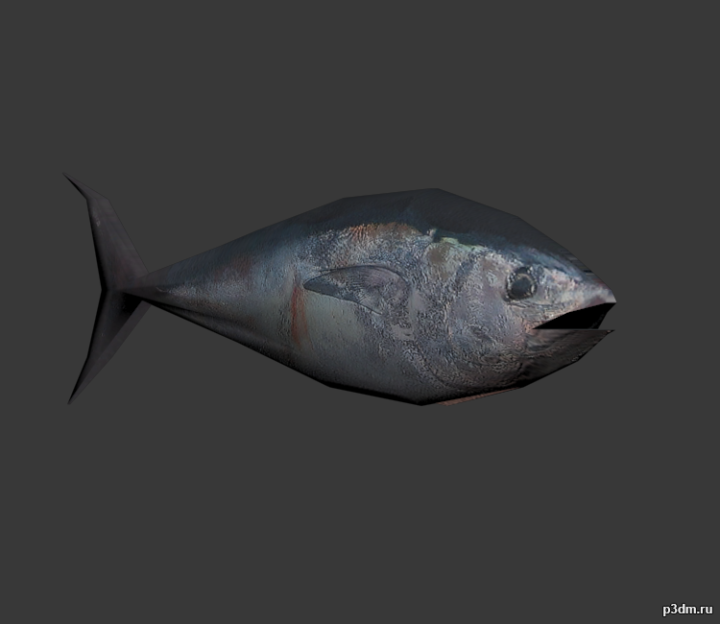 Tuna 3D Model