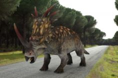 Styracosaurus 3D Model