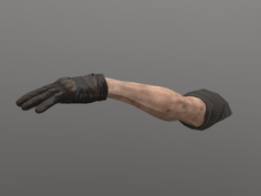 FPS arm 3D Model
