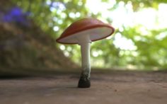 Low poly Mushroom 3D Model