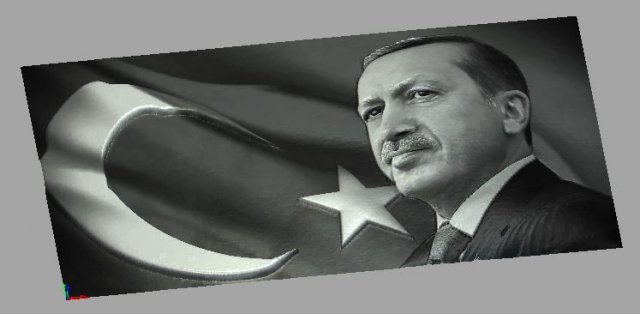 Recep Tayyip Erdogan Relief 3D Model