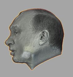 Vladimir putin Relief 3D Model