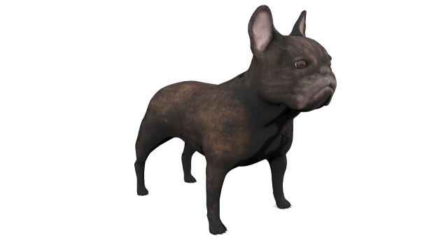 French Bulldog 3D Model