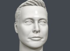 Elon Musk 3D printable portrait 3D Model