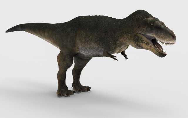 Tarbosaurus 3D Model