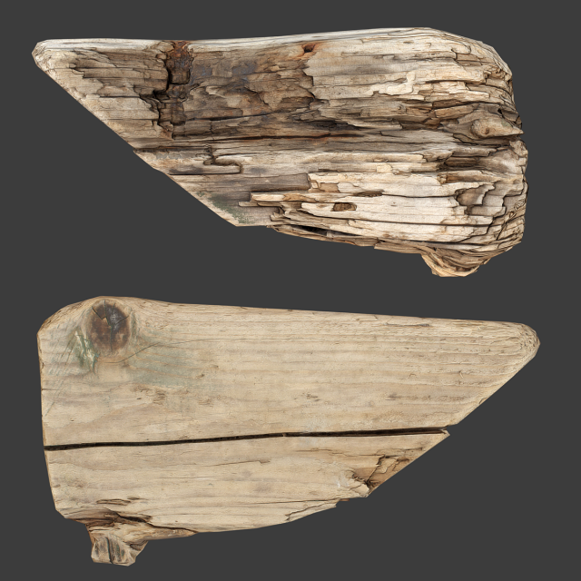 Wood Timber Rotten Debris 3D Model