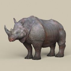 Game Ready Rhinoceros 3D Model