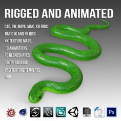 Animated Green Mamba 3D Model