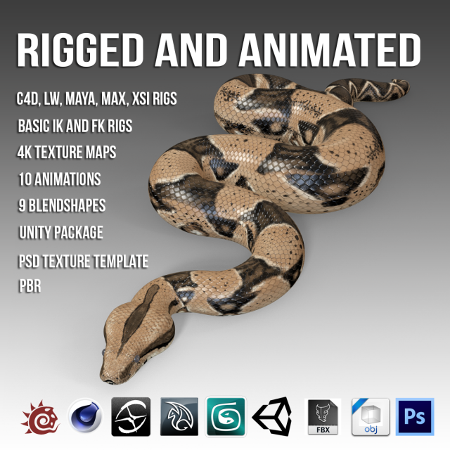 Animated Boa Constrictor 3D Model