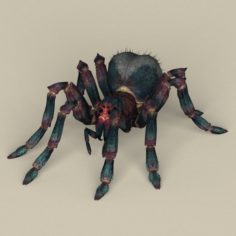 Game Ready Spider 3D Model