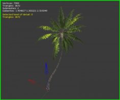 3D Palm Tree 3D Model