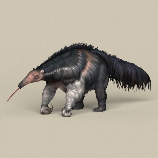 Game Ready Myrmecophagidae 3D Model