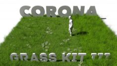 Grass Kit III for C4D and Corona render 3D Model