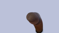 Realistic human penis 4 3D Model