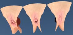 Female Genital Realistic vagina anal 3D Model