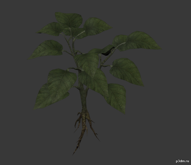 Herb (blue, green & red) 3D Model