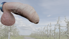 Human realistic penis 3D Model