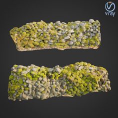3d scanned nature stone wall C 3D Model