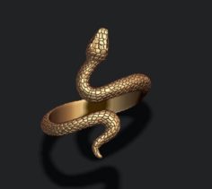 Snake ring 3D Model
