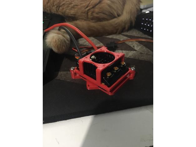 Castle Sidewinder 4 ESC cage 3D Print Model