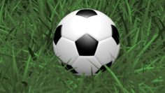 The Soccer Ball Free 3D Model