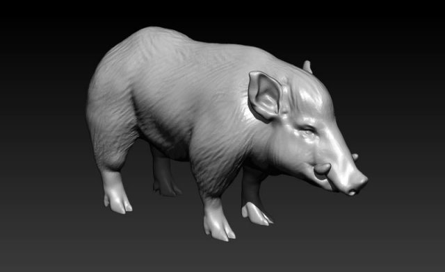 Wild Boar 3D Model