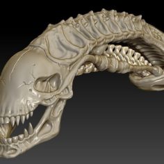 Alien Skull 3D Print Model