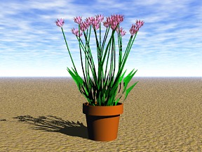 Flower 11 Free 3D Model