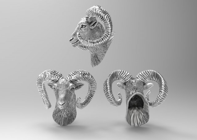 Muflon ram sculpture for decor 3D Model