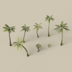 Game Ready Palm Tree Pack 3D Model