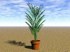 Plant 11 Free 3D Model