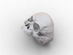 Skull ring 3D Model